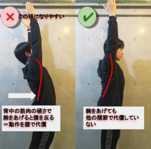 背中の筋肉が硬いと腕を上げる動作で腰を剃りやすくなる。 腕を上げても他の関節で代償しないようにすることが大切